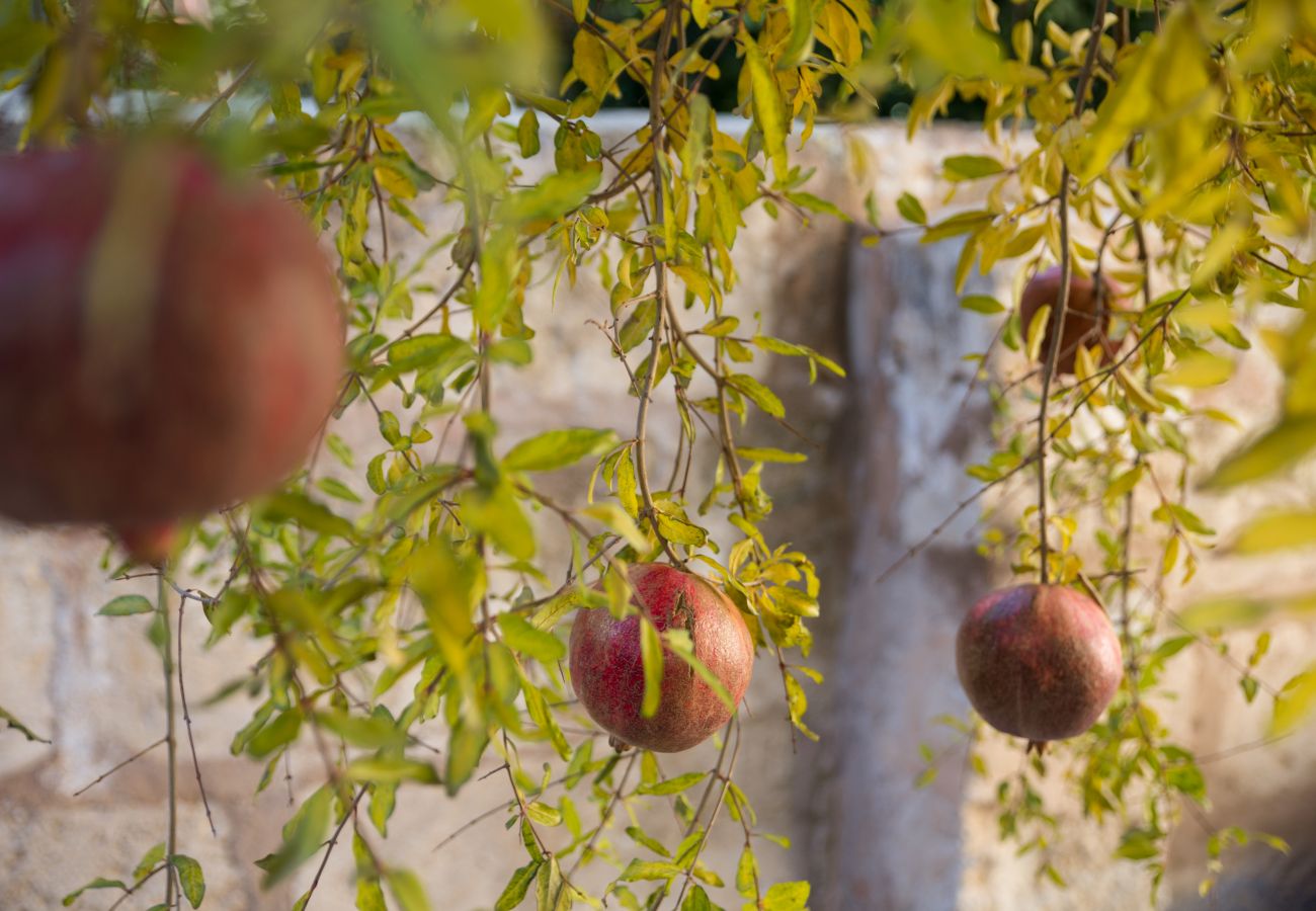 House in Sa Pobla - Villa Ca na Marrona - Sunset Villa Campanile - townhouse with private pool