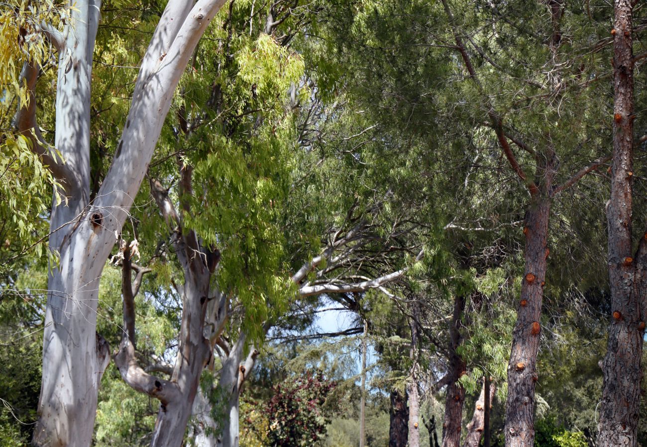 Cottage in Inca - Sunset Ecofinca Can Vey - Country house with private pool