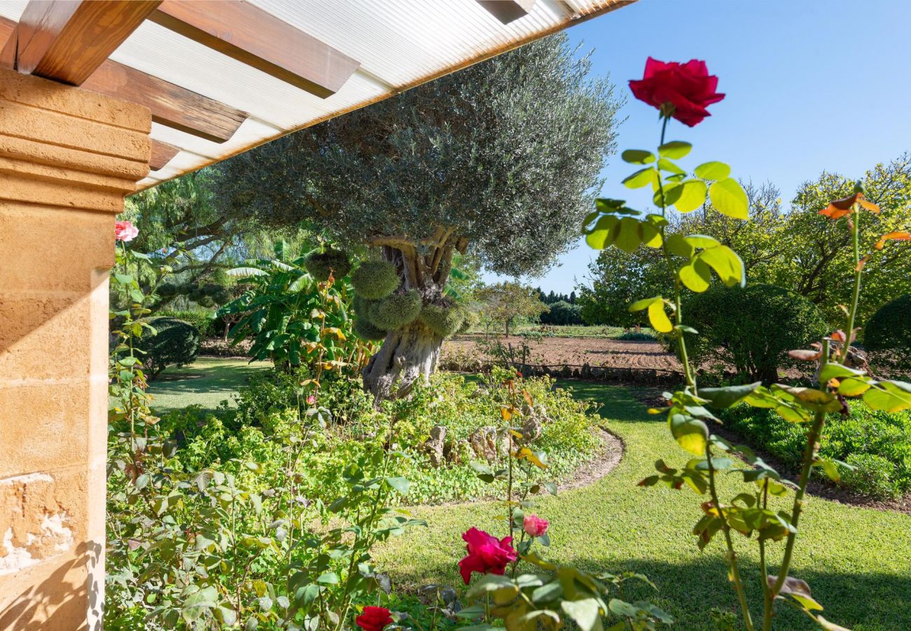 Country house in Alcudia - Sunset Finca Ses Contesas for 6 people