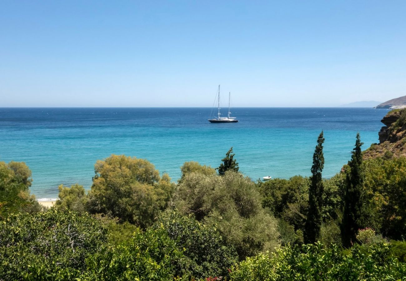 Villa in Andros - Rock Coastal House with Sea Views
