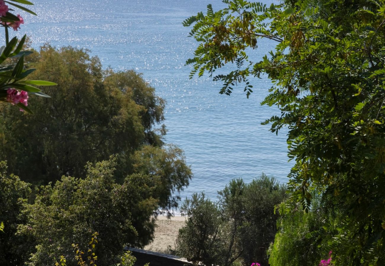 Villa in Andros - Rock Coastal House with Sea Views