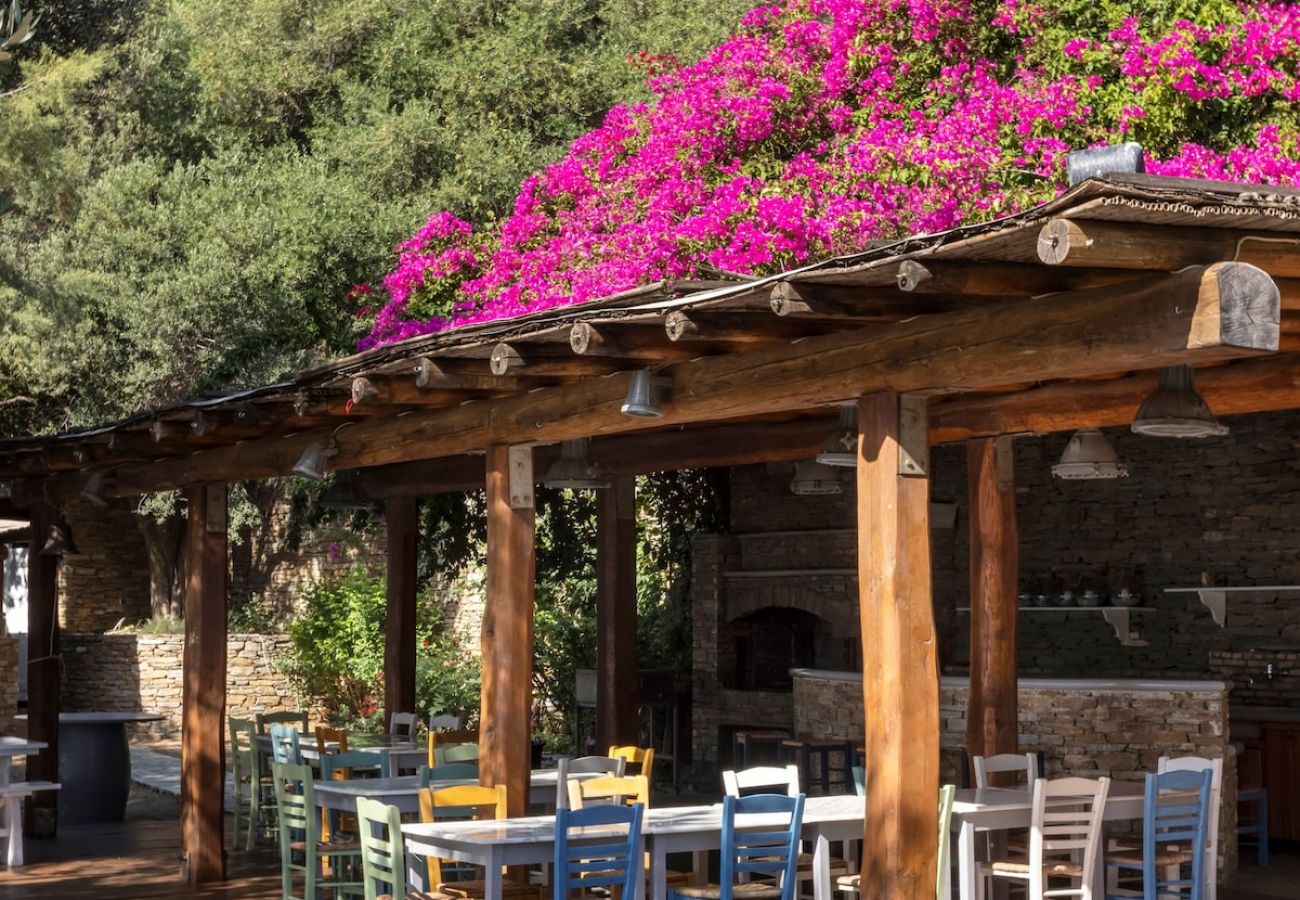 Villa in Andros - Aegean Breeze House