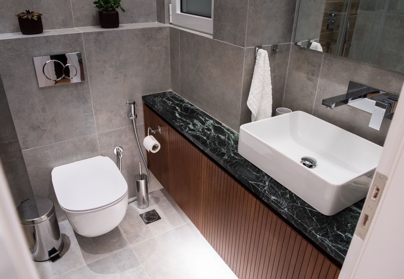 Apartment in Athens - Katia Modern Apartment in Athens 