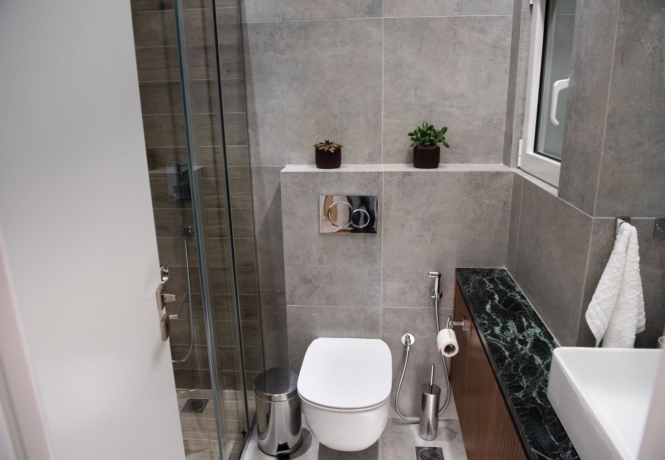 Apartment in Athens - Katia Modern Apartment in Athens 