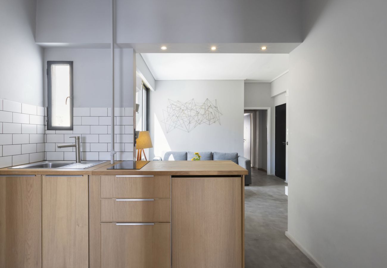 Apartment in Athens - Top Floor Renv 3BDR APT / “Pedion tou Areos” 