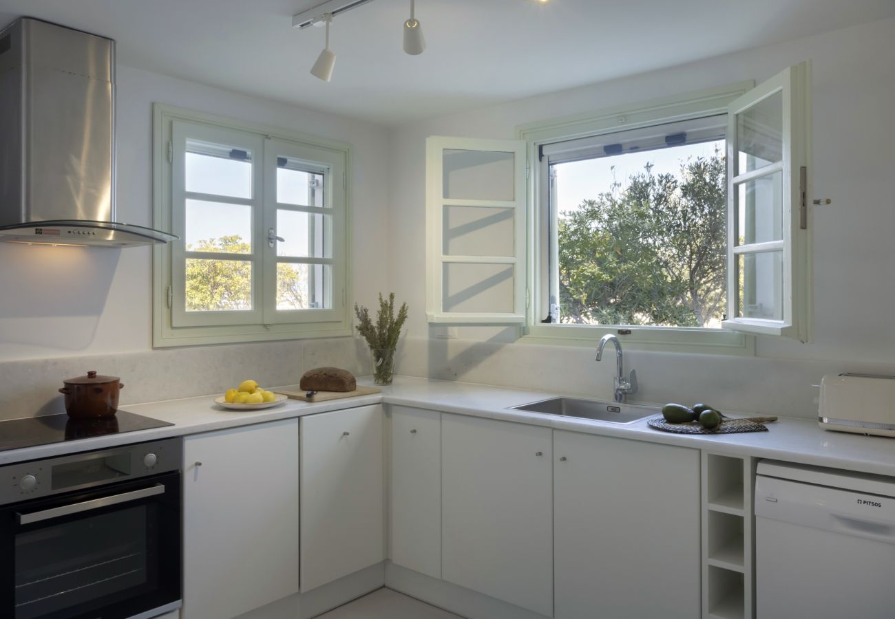 Villa in Ampelas - Stunning Beachfront 3BR Villa that has it ALL! 