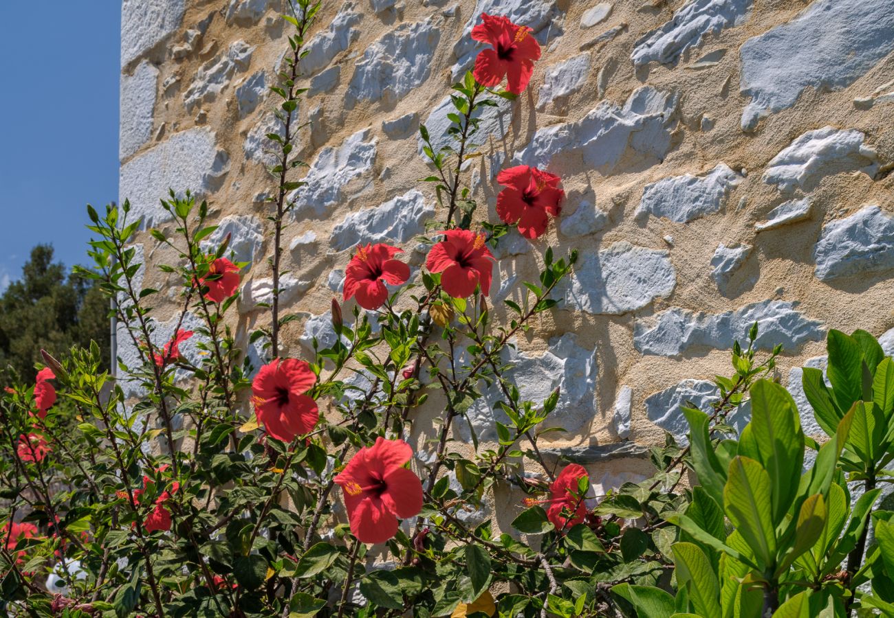 Villa in Alika - Alika Pure Zen Home 