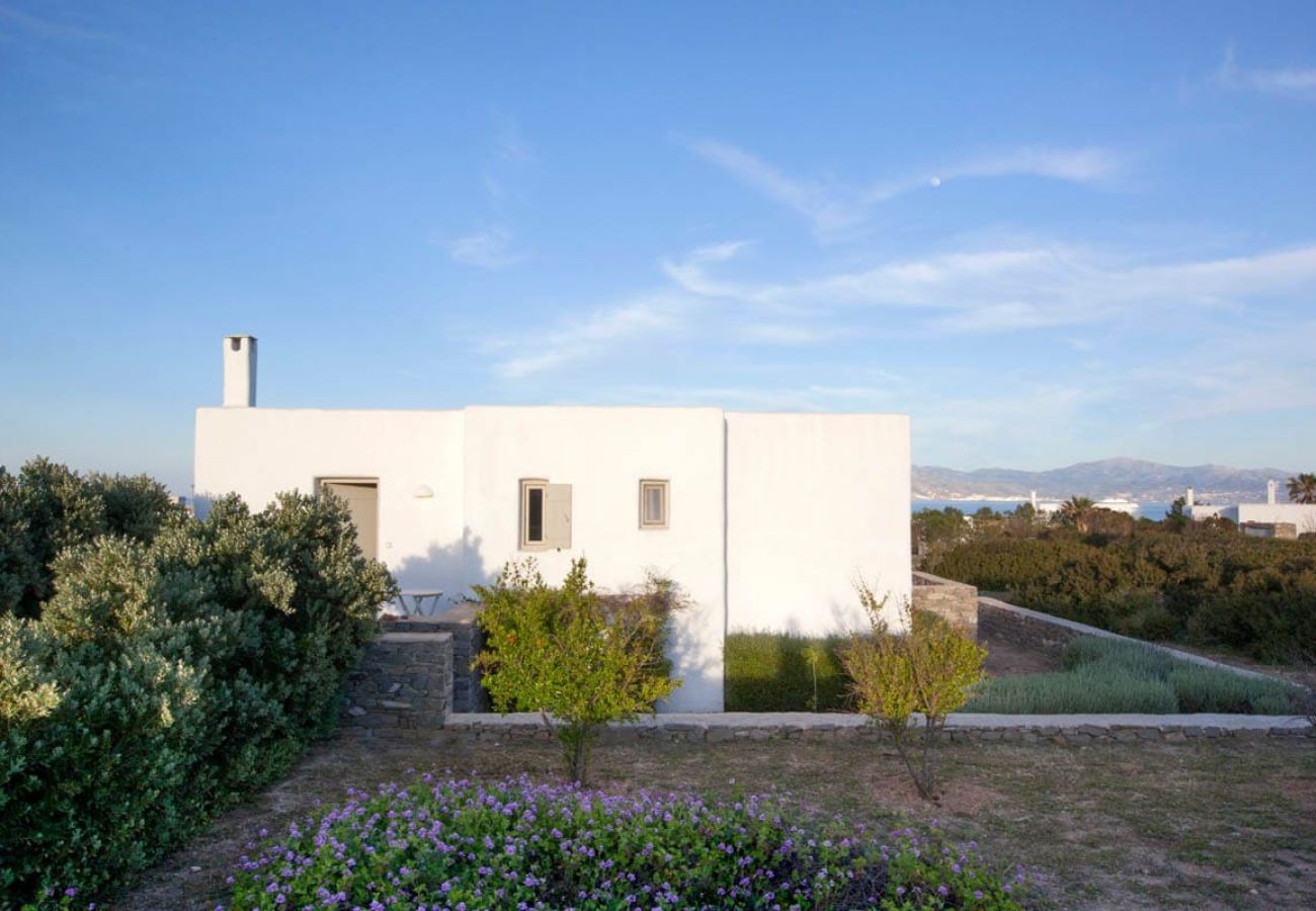 Villa in Santa Maria - Kallisti Villas - An oasis for 22 people 