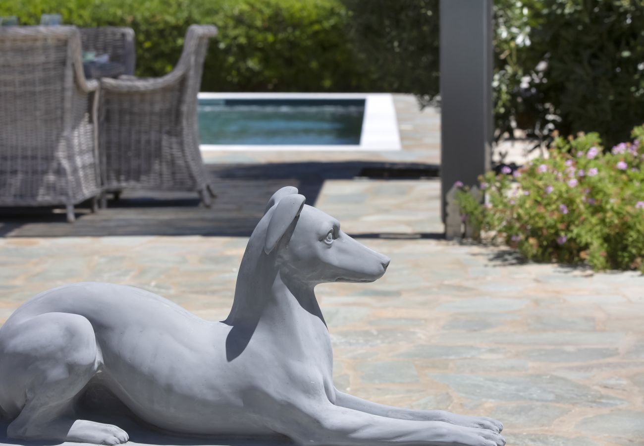 Villa in Ampelas - Villa Anemos 