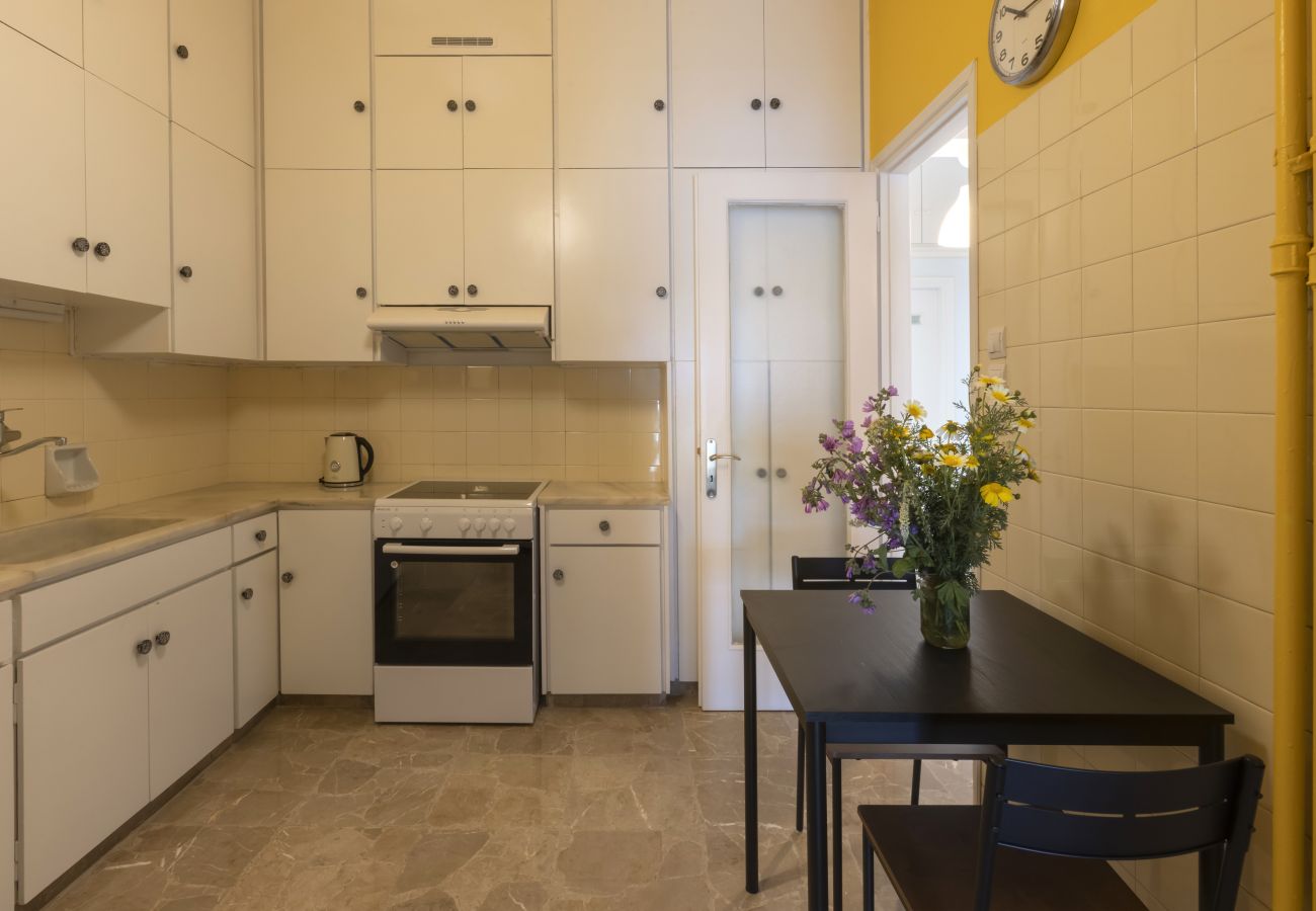 Apartment in Athens - A happy 2 BDR apartment that has a soul