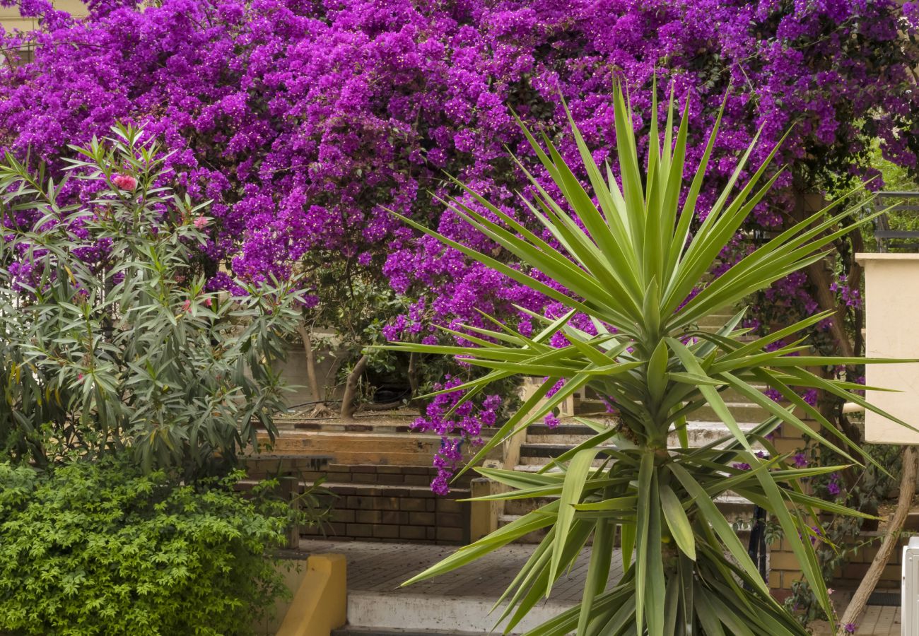 Apartment in Athens - Stylish 2BR pays homage to timeless charm.