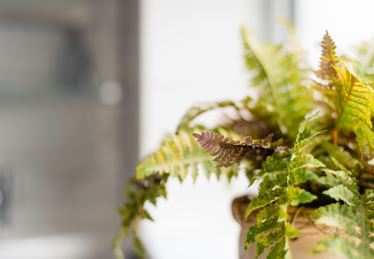 Apartment in Paignton - Quayside View - Directly on Paignton Harbour