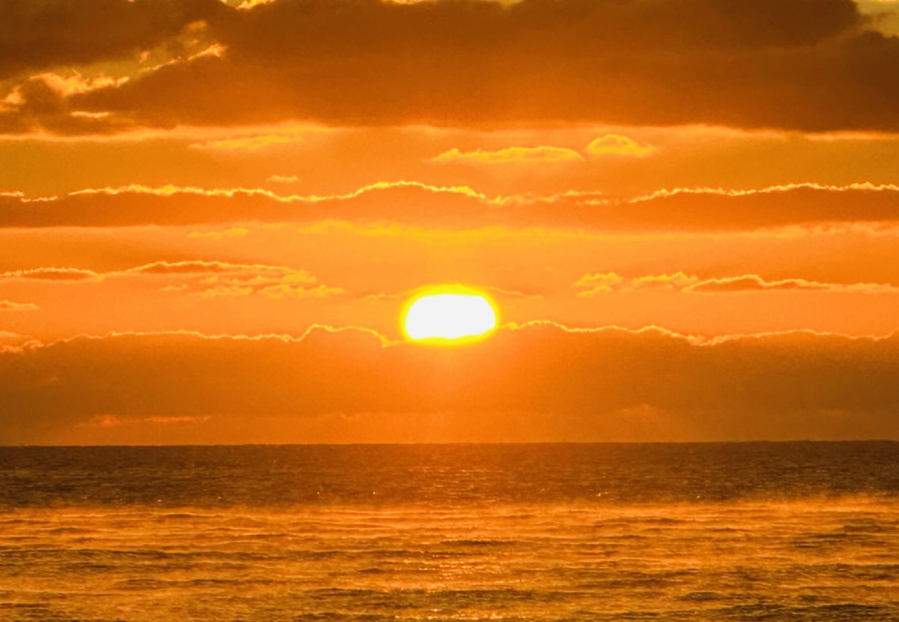 Cottage in Seaton - Littlefields - With hot tub and short walk to beach