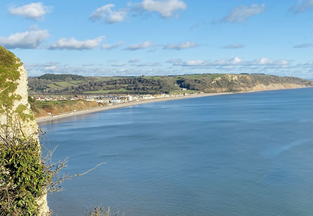 Cottage in Seaton - Littlefields - With hot tub and short walk to beach