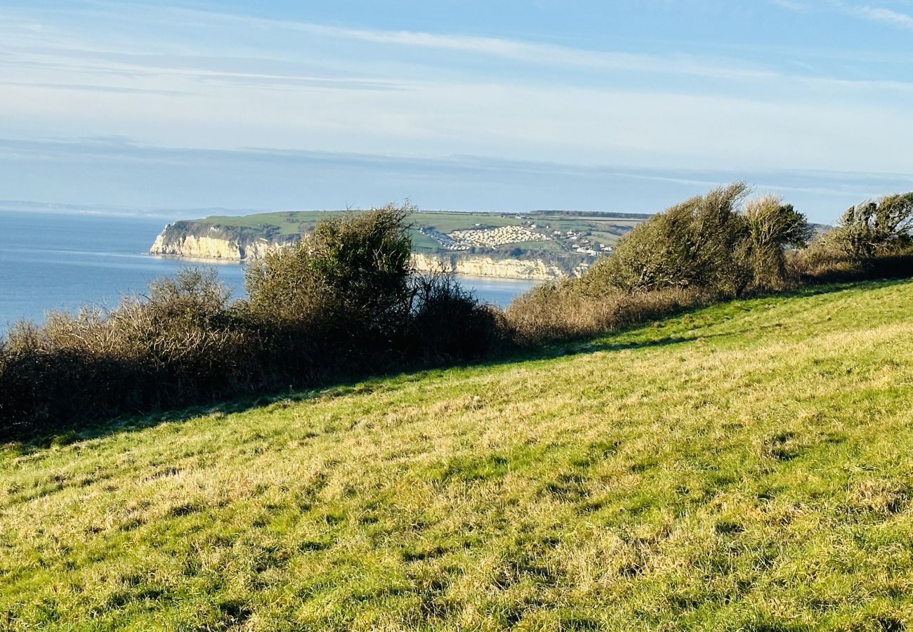 Cottage in Seaton - Littlefields - With hot tub and short walk to beach