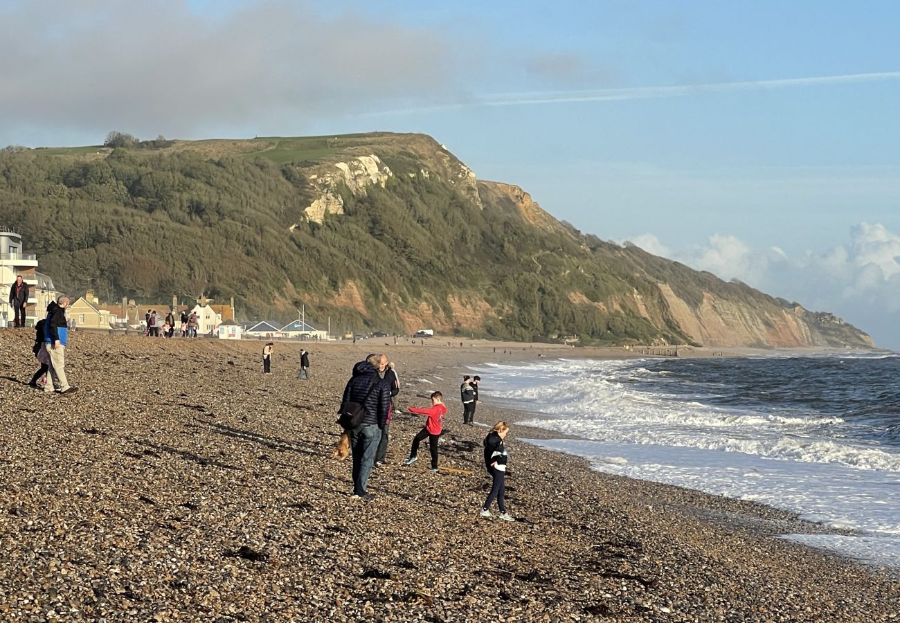 Cottage in Seaton - Littlefields - With hot tub and short walk to beach