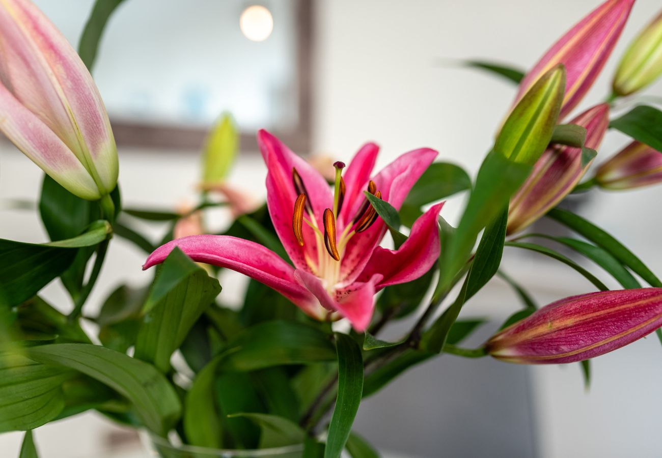 Fresh Escapes - Exeter City Centre Apartment, Cathedral View Sleeps 2