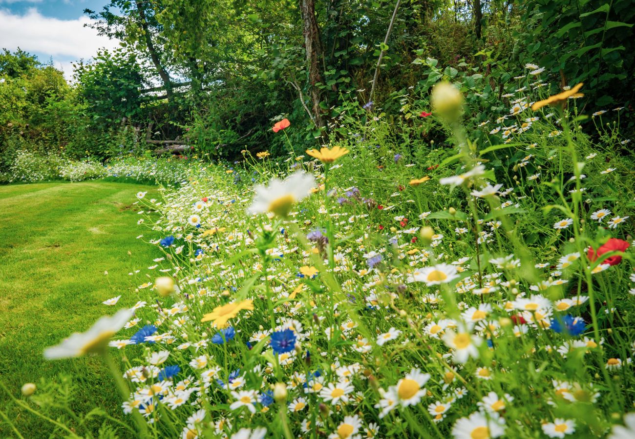 Cottage in Chagford - Weeke Brook - A 'quintessential' thatched cottage
