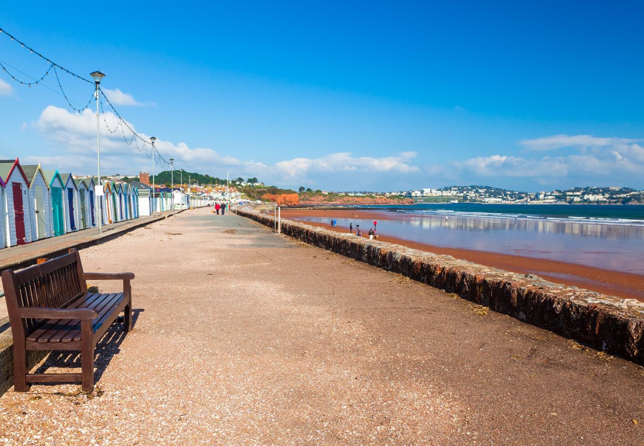 House in Paignton - The Spinney - Large home with hot tub, gym, amazing sea views