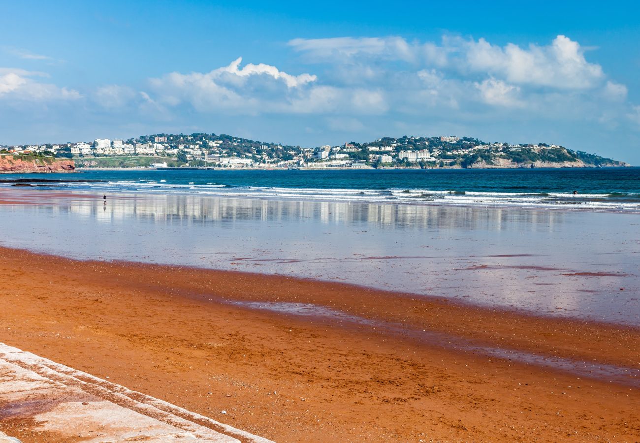 House in Paignton - The Spinney - Large home with hot tub, gym, amazing sea views