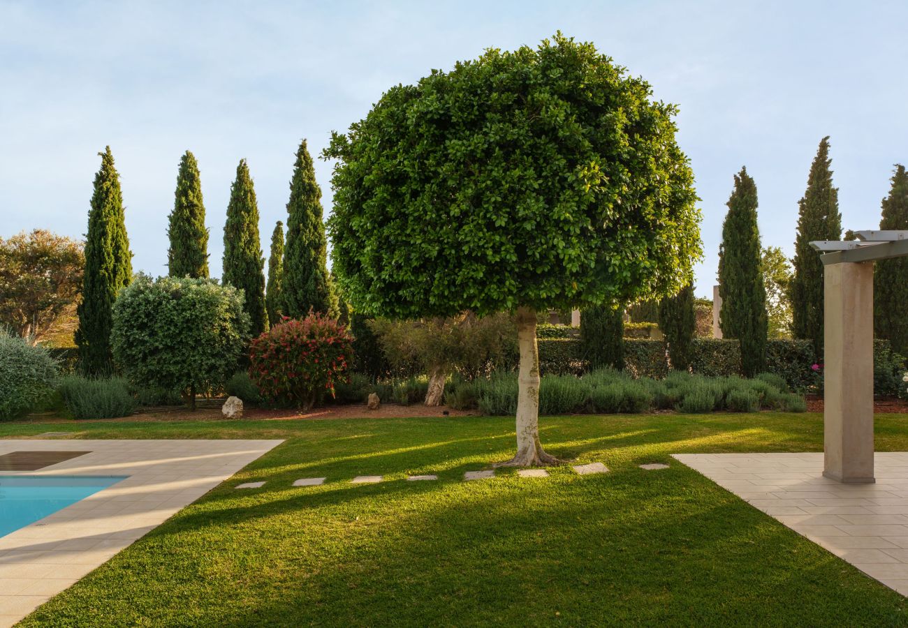 Villa in Argostoli - Villa Polyxeni