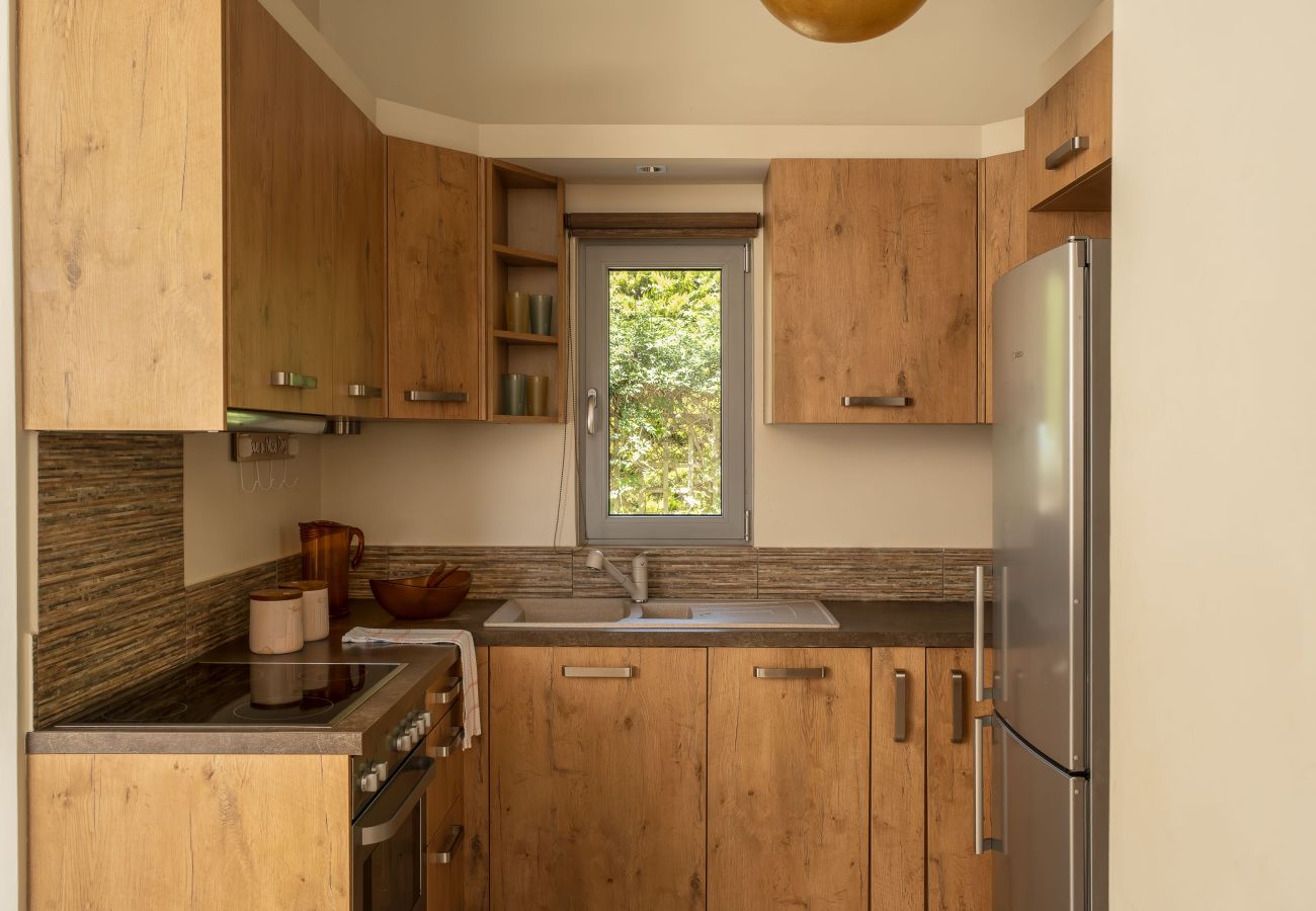 Villa in Argostoli - Villa Polyxeni