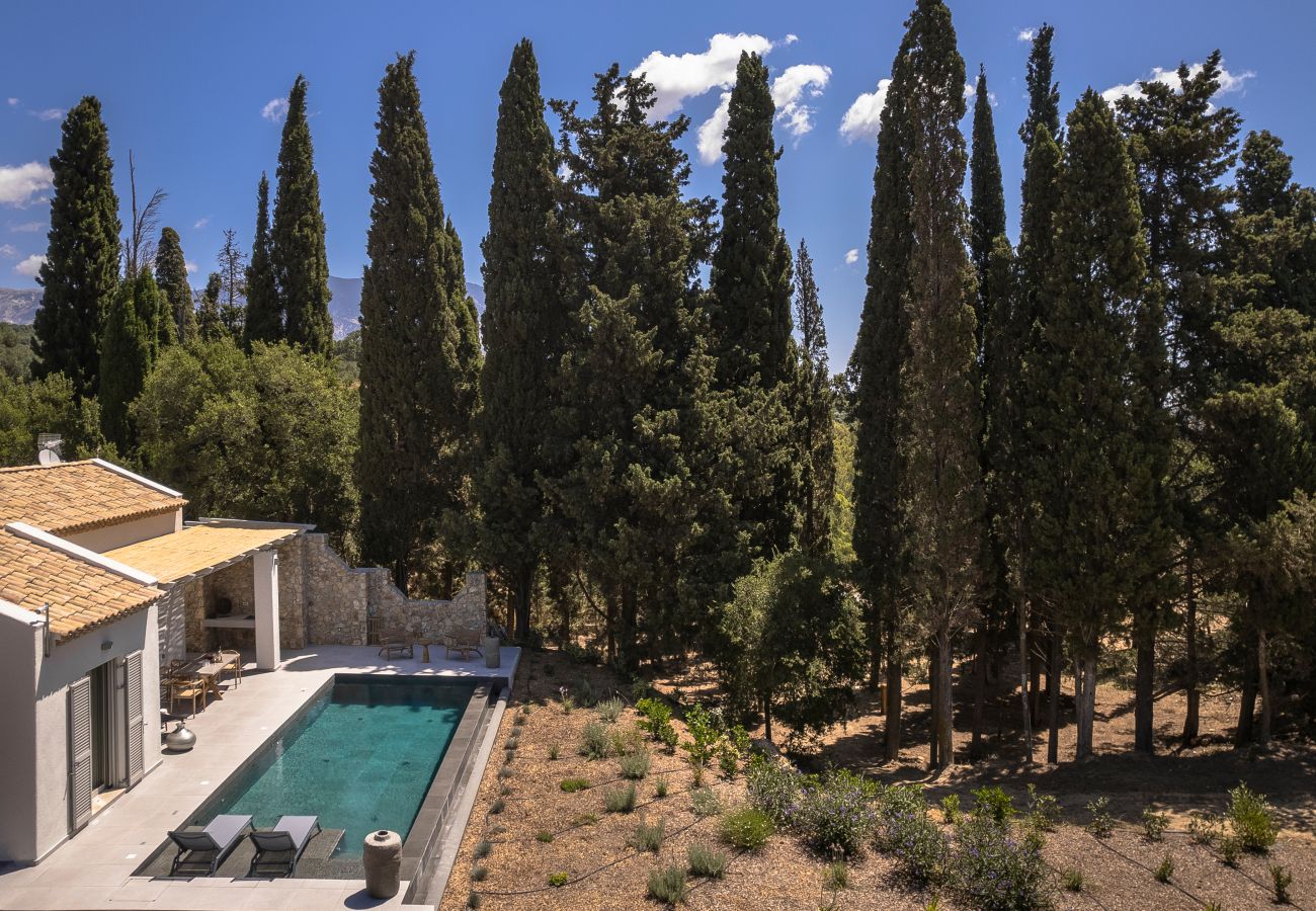 Villa in Svoronata - Forest Villa