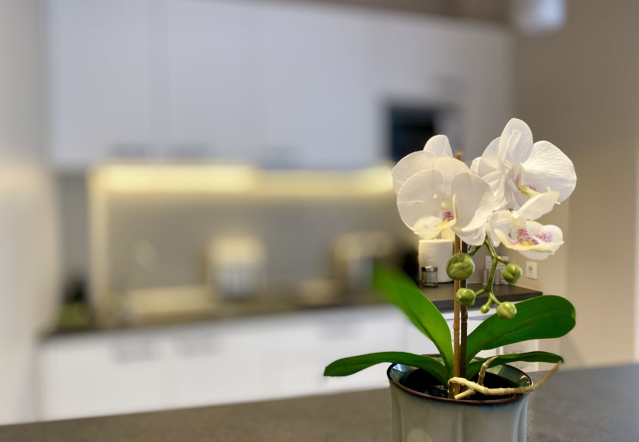 Studio in Athens - 2nd Floor Studio-Goldfish