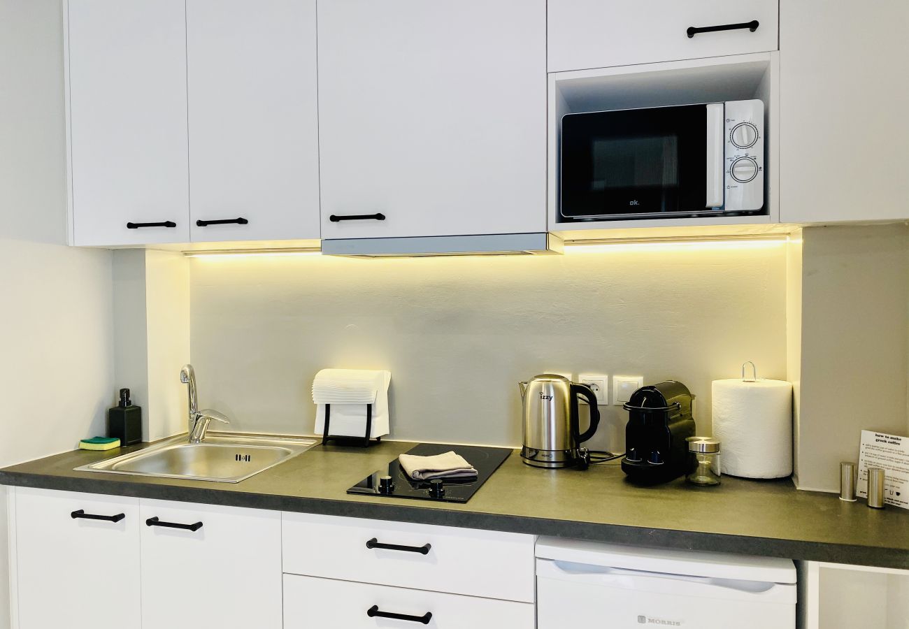 Studio in Athens - 2nd Floor Studio-Goldfish