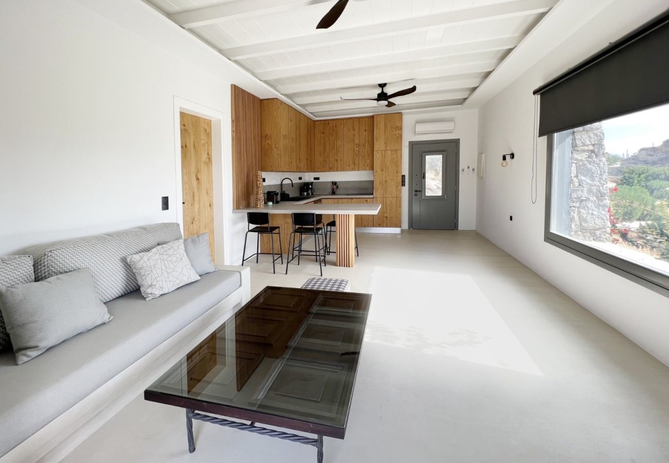 Villa in Naousa - Kolimbithres Rock Villa