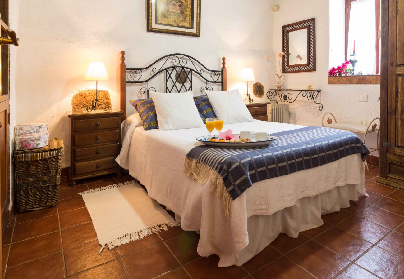 Cottage in Tegueste - Picacho B