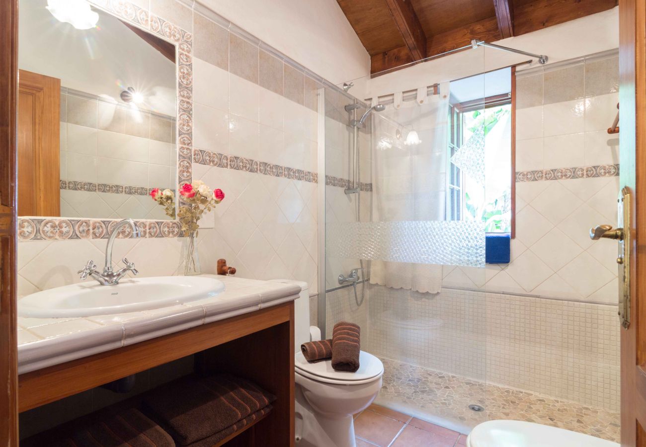 Cottage in Tegueste - Picacho B