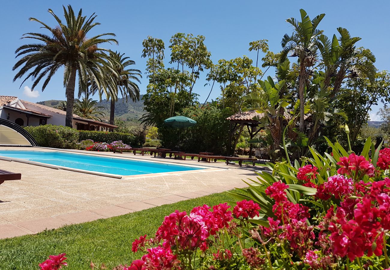 Cottage in Tegueste - Picacho B