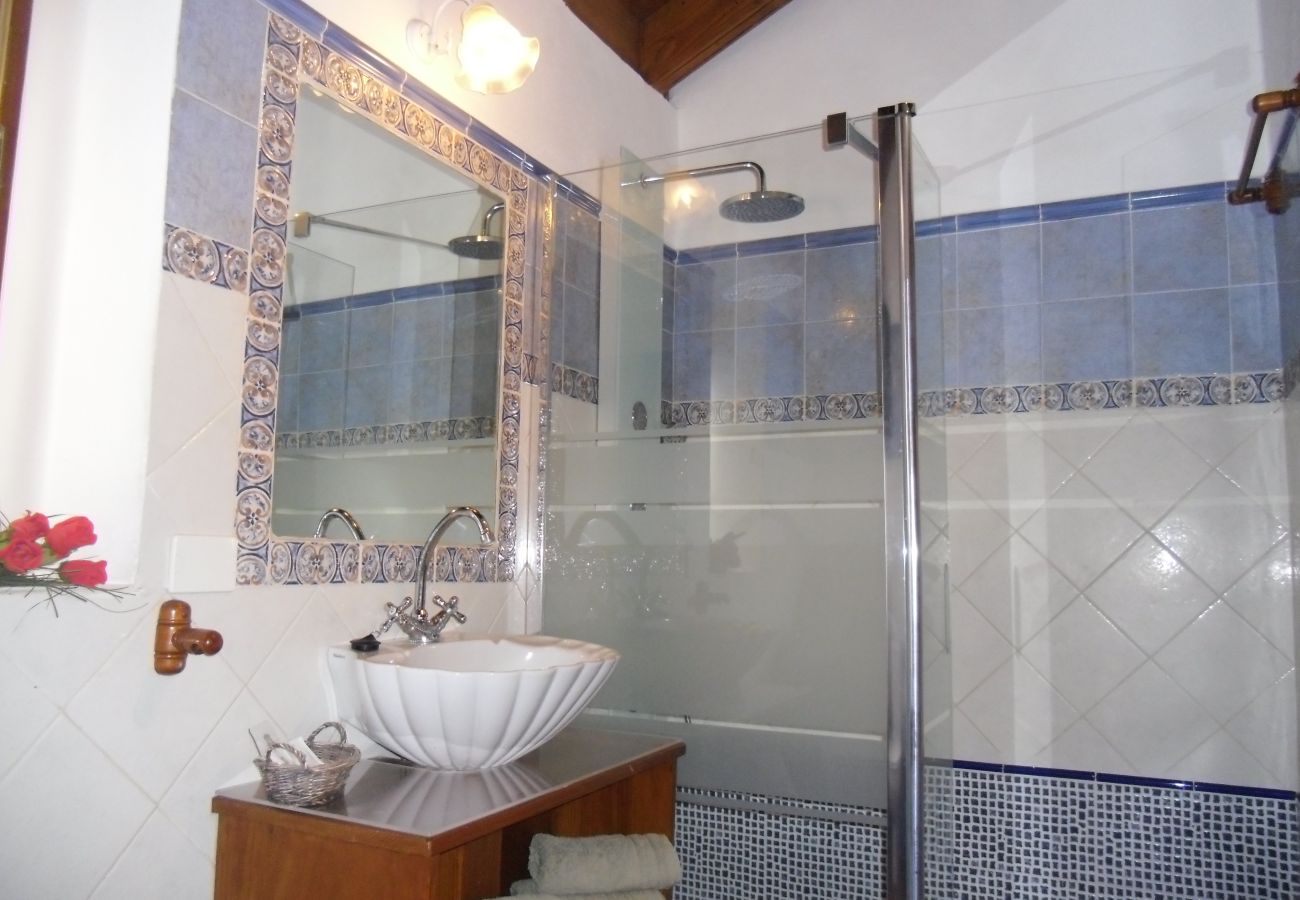 Cottage in Tegueste - Picacho C