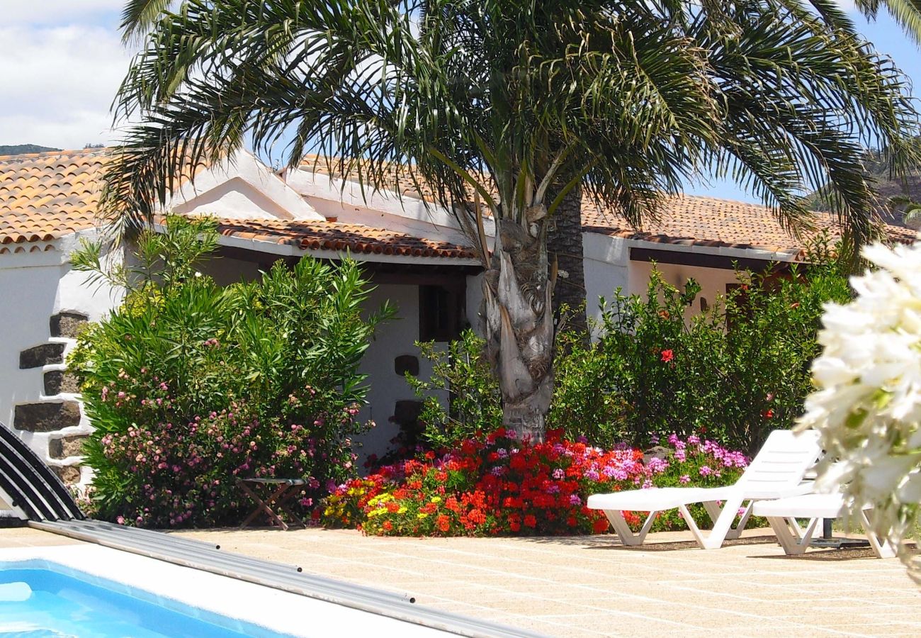 Cottage in Tegueste - Picacho C