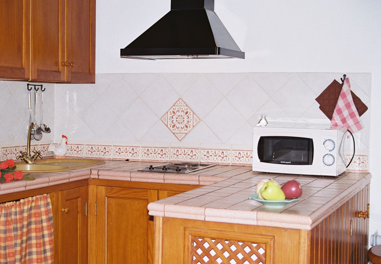 Cottage in Tegueste - Picacho C