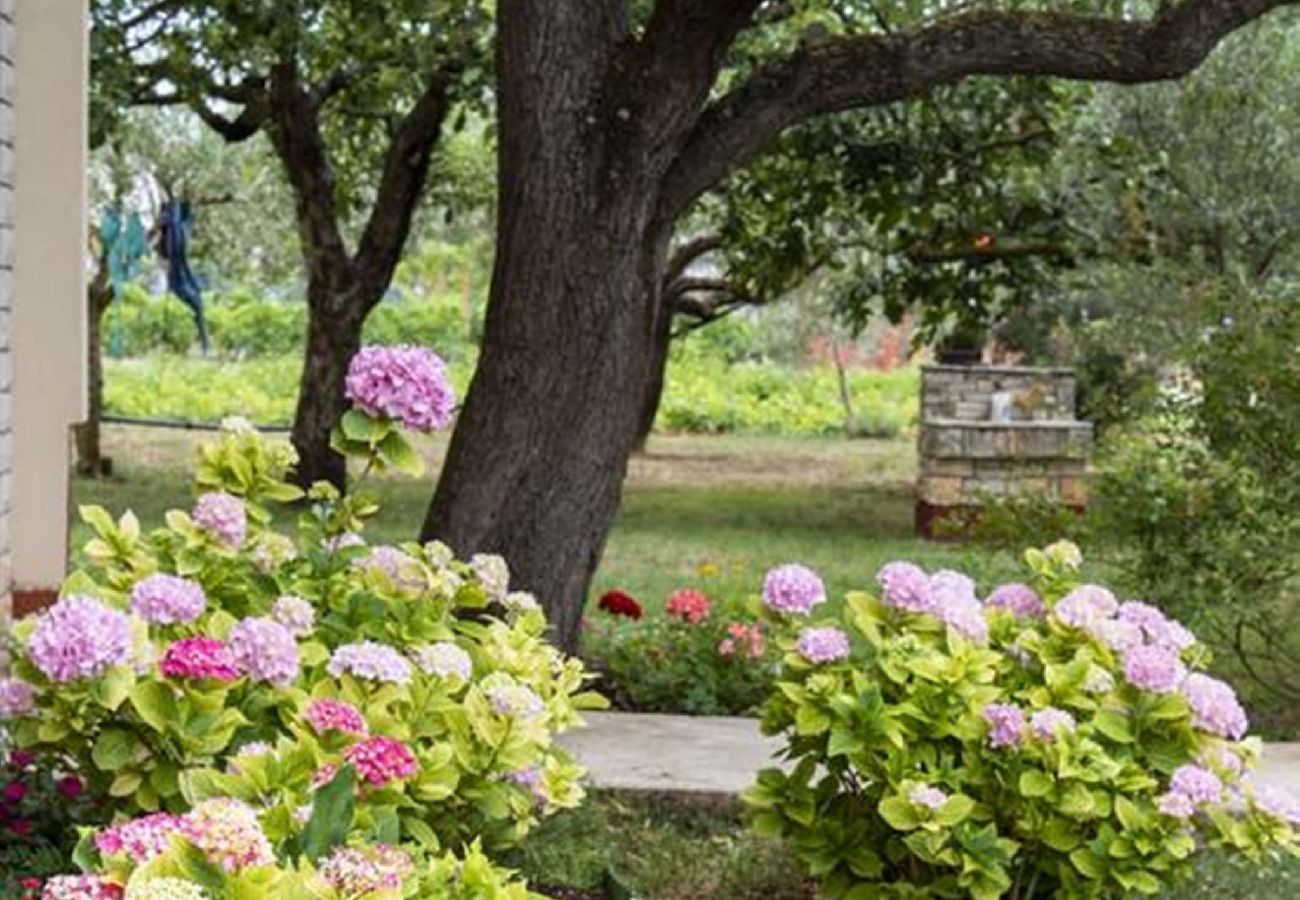 Apartment in Fažana - 50 Shades of Blue - Flowers C
