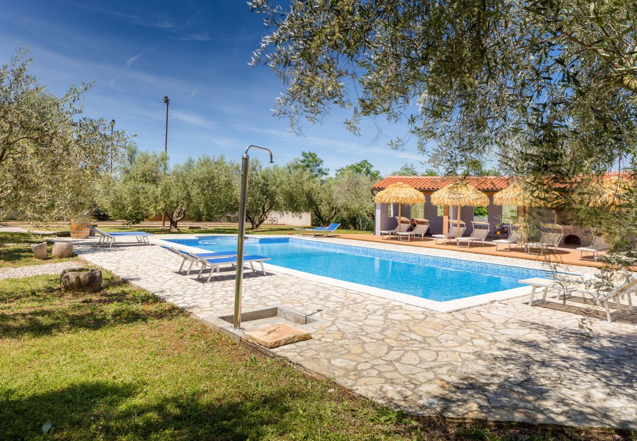 Apartment in Fažana - Marceta Apartment 3 - Pool and Big Garden