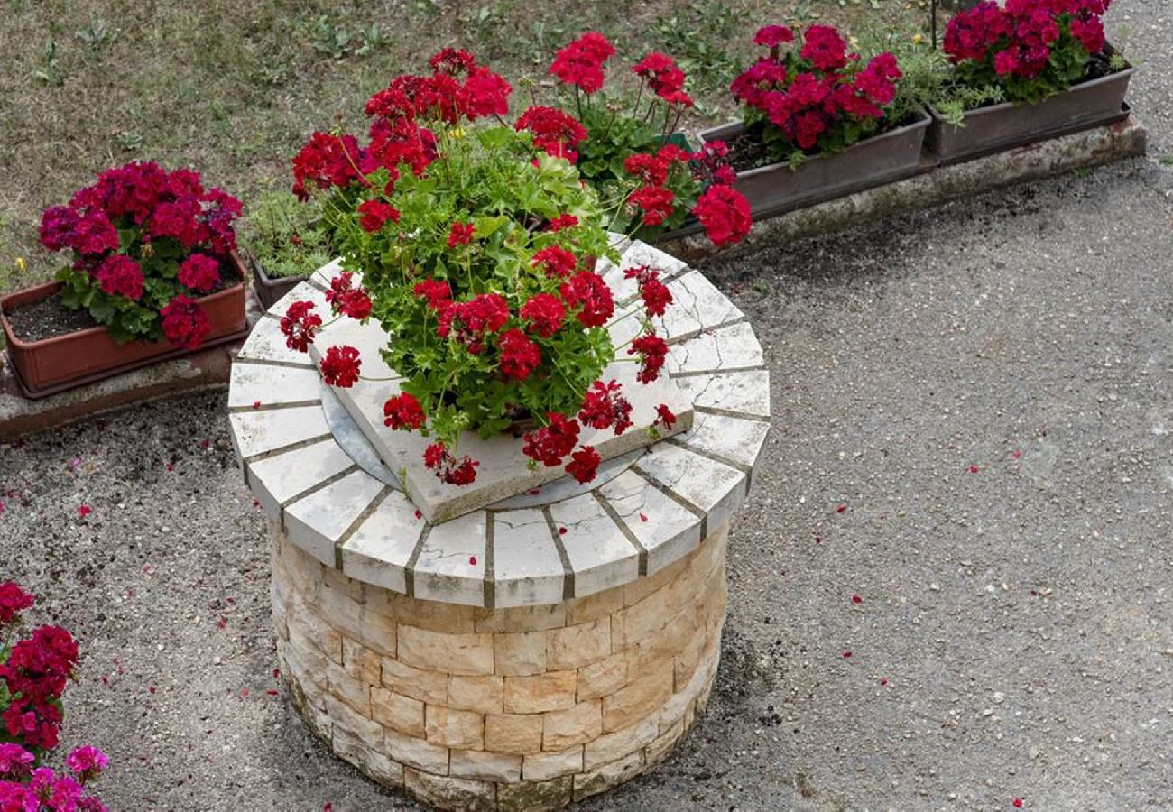 Apartment in Fažana - Modern Three Bedroom Apartment - Flowers B