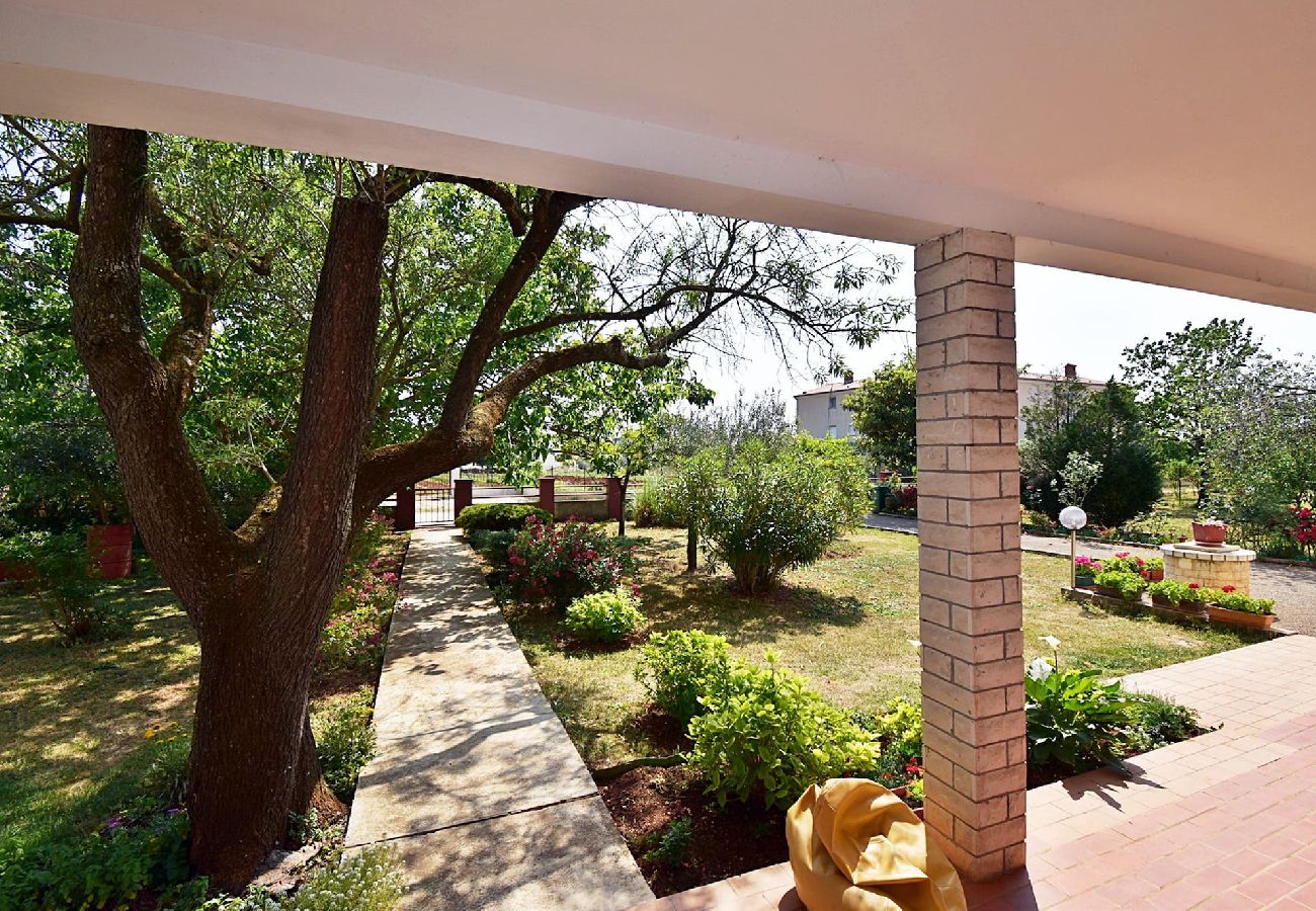 Apartment in Fažana - Lovely One Bedroom Apartment - Flowers A