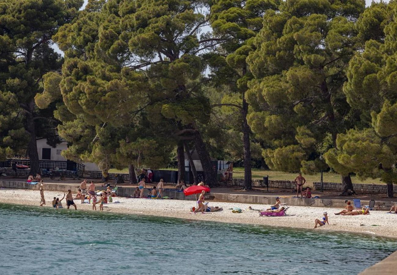 Apartment in Fažana - Lovely One Bedroom Apartment - Flowers A