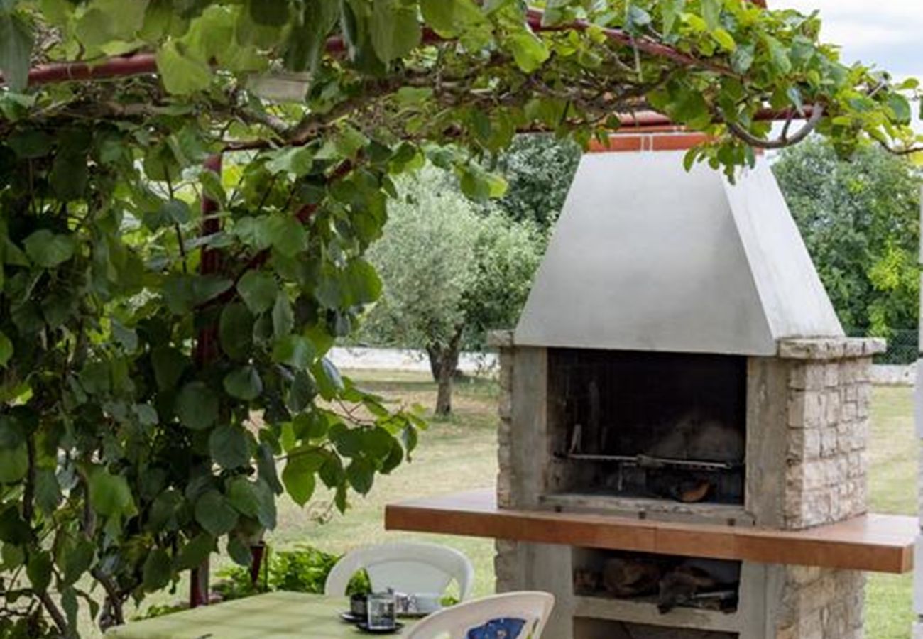 Apartment in Fažana - Lovely One Bedroom Apartment - Flowers A