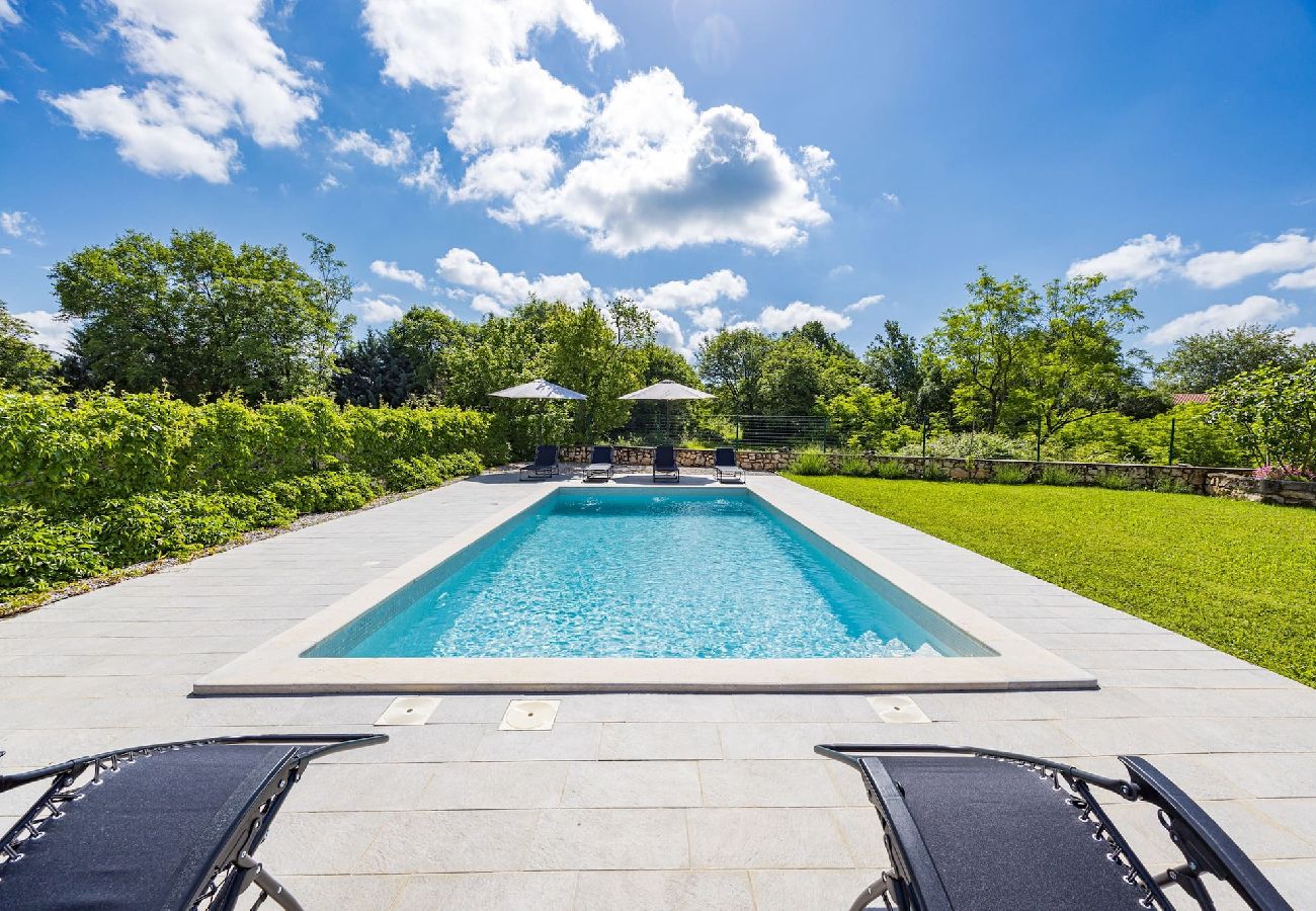 Villa in Nedešcina - Stone Gem - Villa Katarina with Private Pool