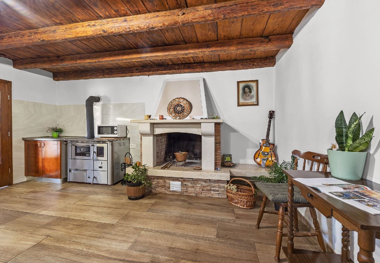 Villa in Nedešcina - Stone Gem - Villa Katarina with Private Pool