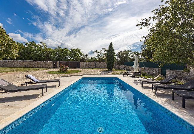 Villa in Vodnjan - Villa San Antonio with Private Pool 