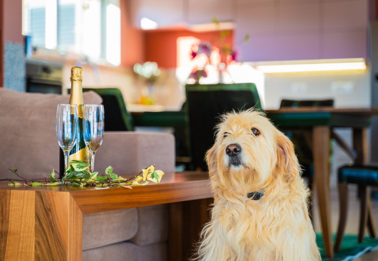 Villa in Filipana - Spiral Garden, Lavender Fields, Pool - Arkaim