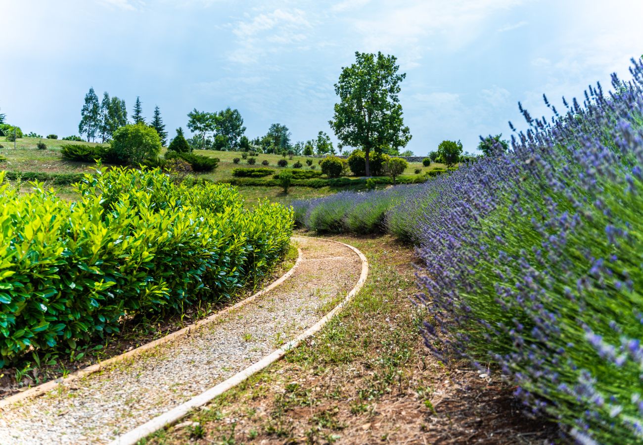 Villa in Filipana - Spiral Garden, Lavender Fields, Pool - Arkaim