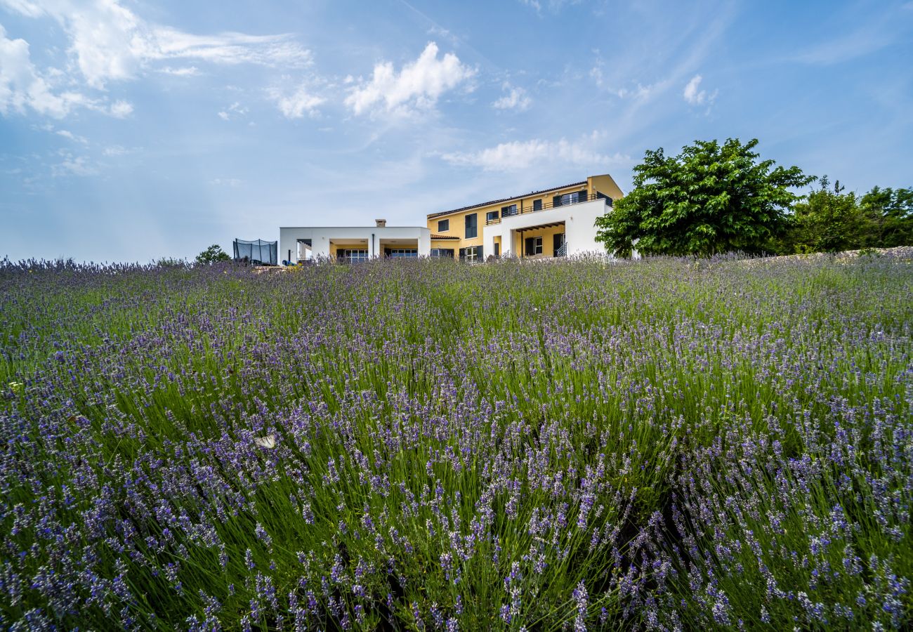 Villa in Filipana - Spiral Garden, Lavender Fields, Pool - Arkaim