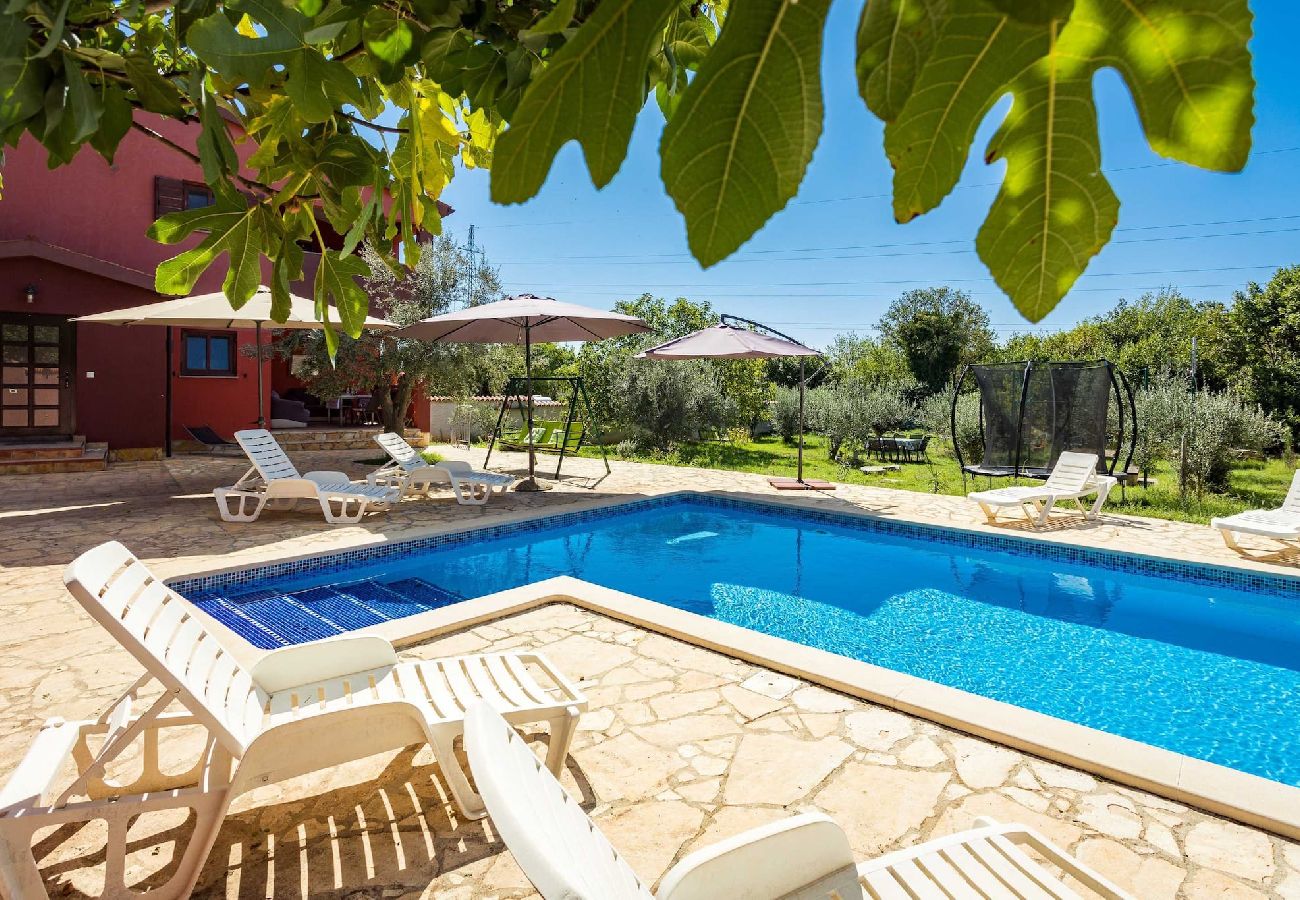 House in Pula - Charming Holiday Home Pina with Private Pool