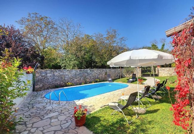 Villa in Žminj - Villa Katherine with Pool and Game Room 